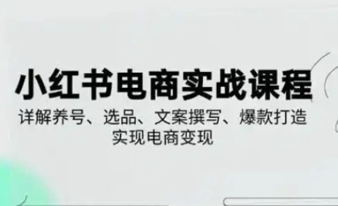 小红书从0-1实操课(2023-2025)，详解养号、选品、文案撰写、爆款打造实现电商变现-星球源码网