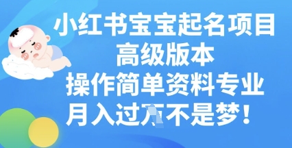 小红书宝宝起名项目高级版本，操作简单，资料专业，月入过W-星球源码网