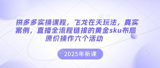 拼多多实操课程，飞龙在天玩法，真实案例，直播全流程链接的黄金sku布局原价操作六个活动-星球源码网