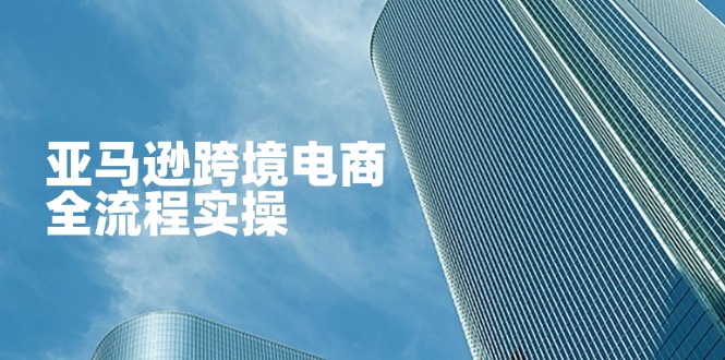 （14252期）亚马逊跨境电商全流程实操，教你从零开始，掌握店铺运营与广告技巧-星球源码网