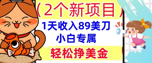 2个新项目，轻松挣美金， 1天收入89美刀，小白专属，干货分享-星球源码网