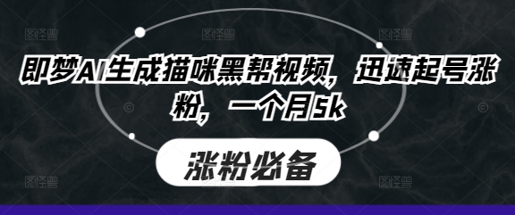 即梦AI生成猫咪黑帮视频，迅速起号涨粉，一个月5k-星球源码网