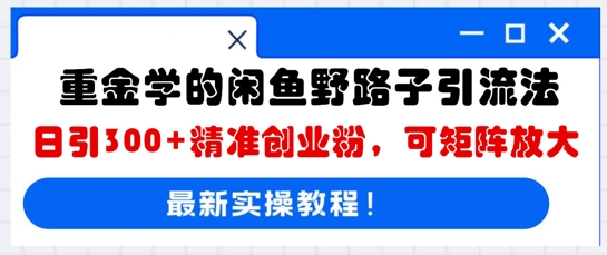 重金学的闲鱼野路子引流法，日引300+精准创业粉，可矩阵放大-星球源码网