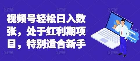 视频号轻松日入数张，处于红利期项目，特别适合新手-星球源码网