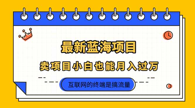 （14289期）2025年最新蓝海项目，卖项目小白也能月入过万-星球源码网