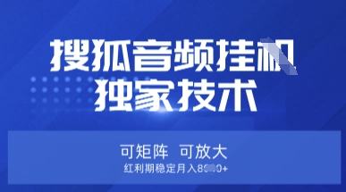 【搜狐音频挂G】独家技术，可矩阵可放大，红利期稳定月入8k【揭秘】-星球源码网
