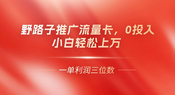 0门槛推广流量卡，一单收益上百，0投入，小白月入过W-星球源码网