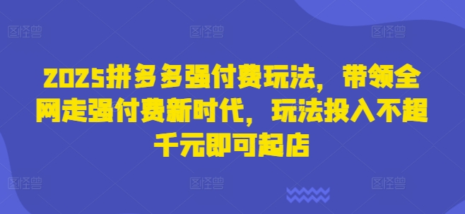 2025拼多多强付费玩法，带领全网走强付费新时代，玩法投入不超千元即可起店-星球源码网