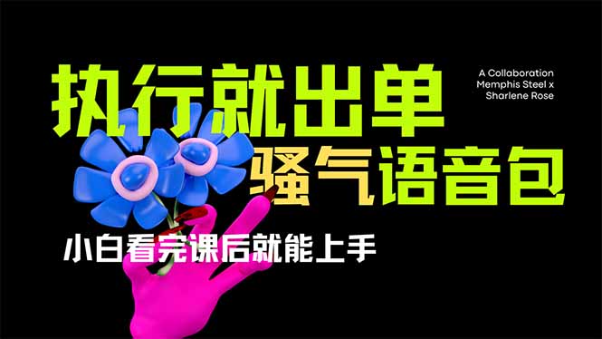 （14170期）爆火全网的开车导航骚气语音包,只要执行就出单，小白看完课程就能实操…-星球源码网