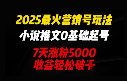 2025最火营销号玩法：小说推文0基础起号，7天涨粉5000，收益轻松破k-星球源码网