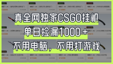 真全网独家CSGO挂G，单日捡漏1k+【揭秘】-星球源码网