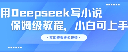 用Deepseek写小说，保姆级教程，小白可实操-星球源码网