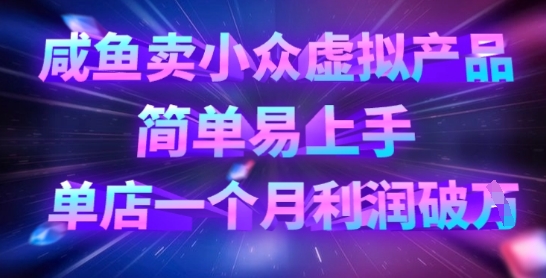咸鱼卖小众虚拟产品，简单易上手，单店一个月利润破W-星球源码网