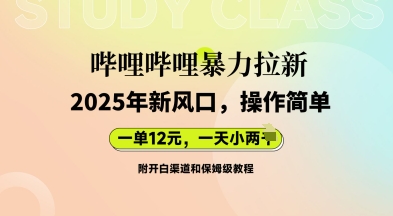 哔哩哔哩暴力拉新：2025年新风口，一单12元，一天数张(附开白渠道和保姆级教程)-星球源码网