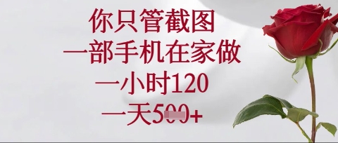 你只管截图，一部手机在家操作，一小时120.一天5张【揭秘】-星球源码网