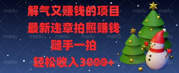 解气又挣钱的项目，最新违章拍照挣钱，随手一拍，轻松收入数张【揭秘】-星球源码网